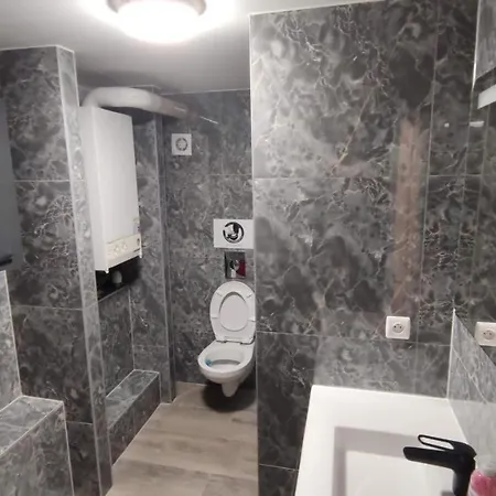 Romains 1g - De Tourisme Classe Avec Garage Gratuit Strazburg